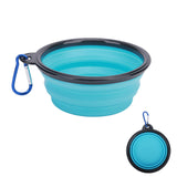 Portable Dog Water Container