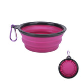 Portable Dog Water Container