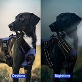 Dog Reflective Harness