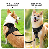 Dog Reflective Harness