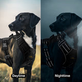 Dog Reflective Harness